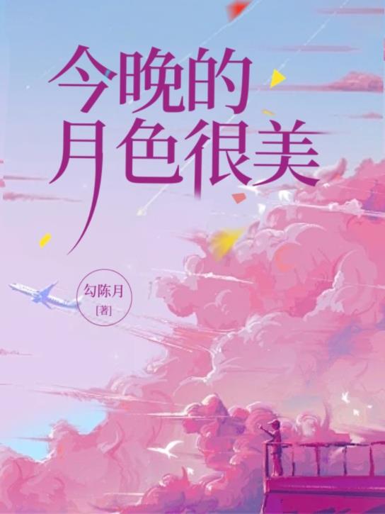 今晚的月色很美董洁