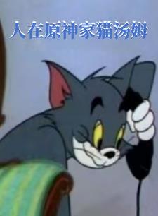 原神汤姆小说