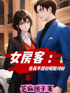 女房客游戏画质