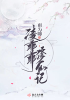 凌菲菲的作品