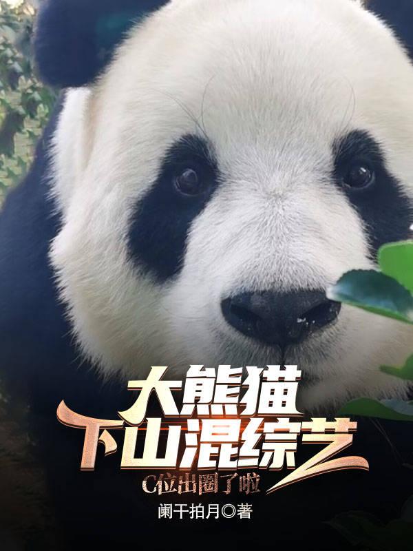 大熊猫下山混综艺，C位出圈啦！大熊猫下山混综艺，C位出圈啦！